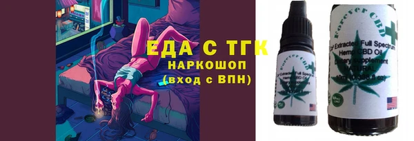 гидра Богородск