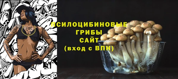 гидра Богородск