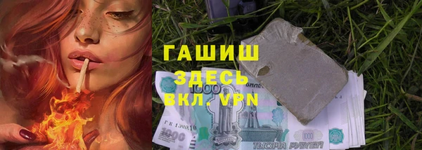 spice Богданович