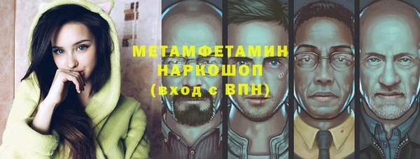 гидра Богородск