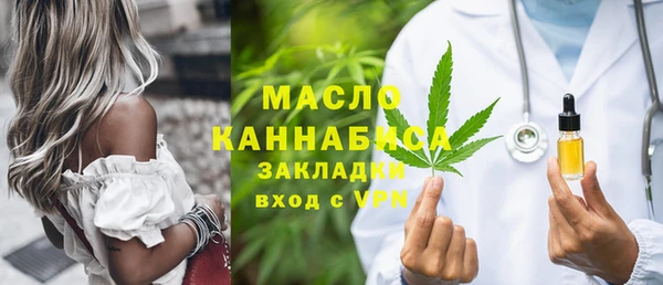 гидра Богородск