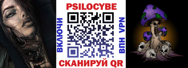 Галлюциногенные грибы Psilocybine cubensis Красный Кут